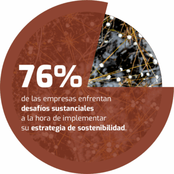 grafico_paraquem_es
